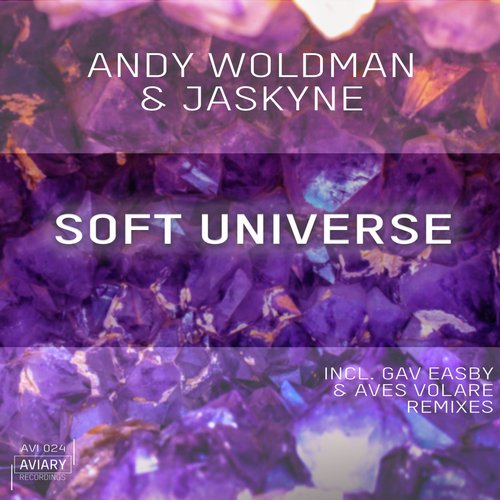 Soft Universe