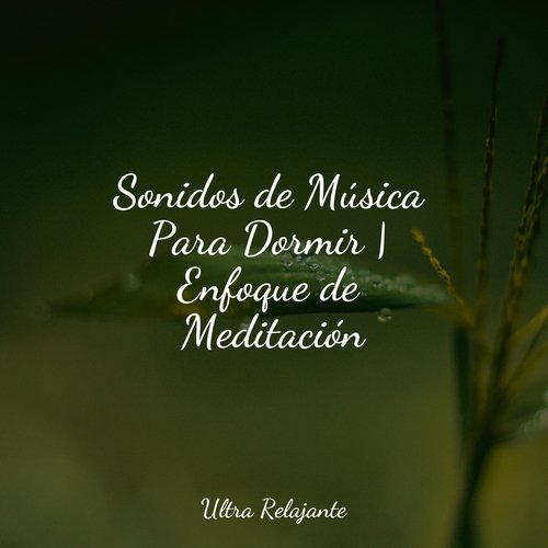 Zen Relajante cover art