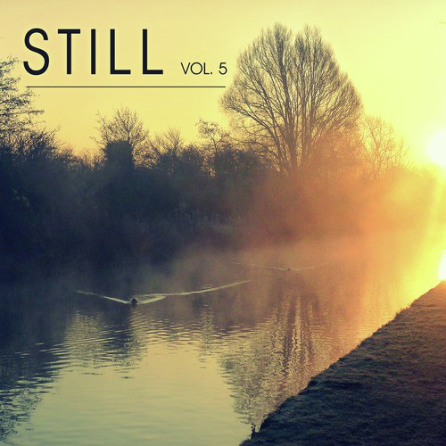 Still Vol. 5 - The Midwinter Chill out Lounge Experience