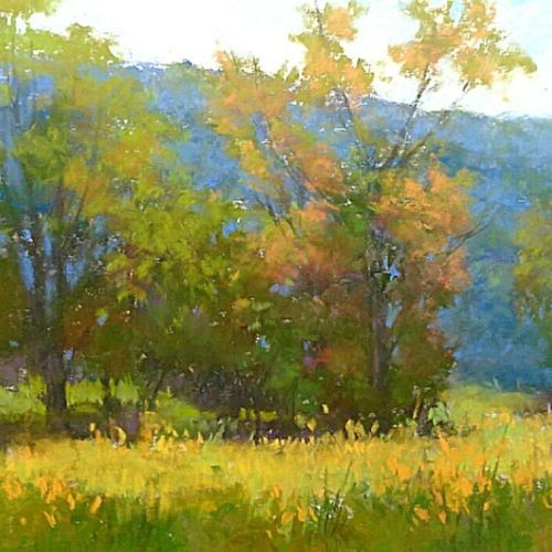 Summer meadow