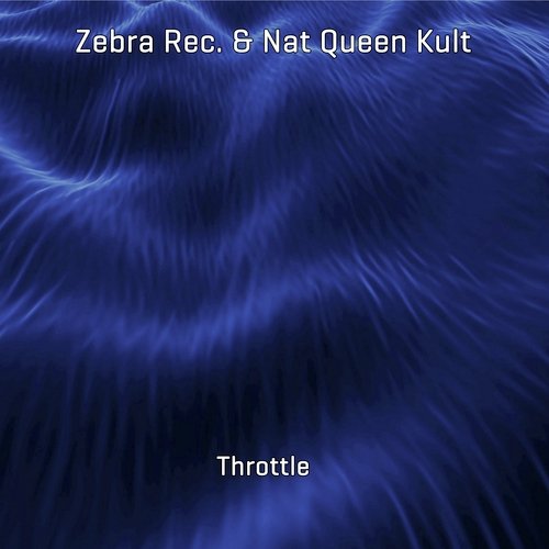Sincrotron cover art