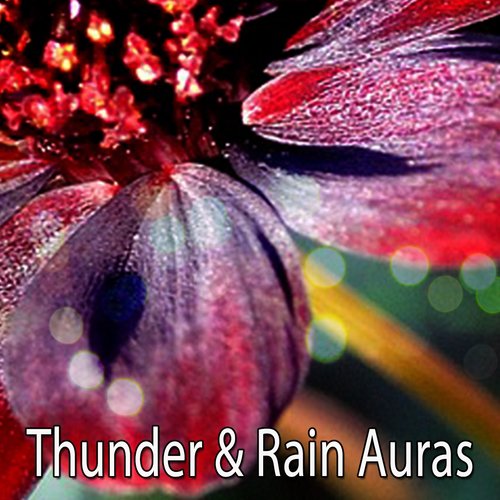 Thunder & Rain Auras