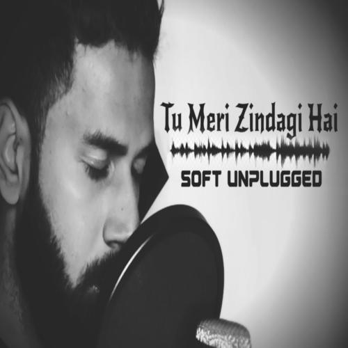 Tu Meri Zindagi Hai_poster_image