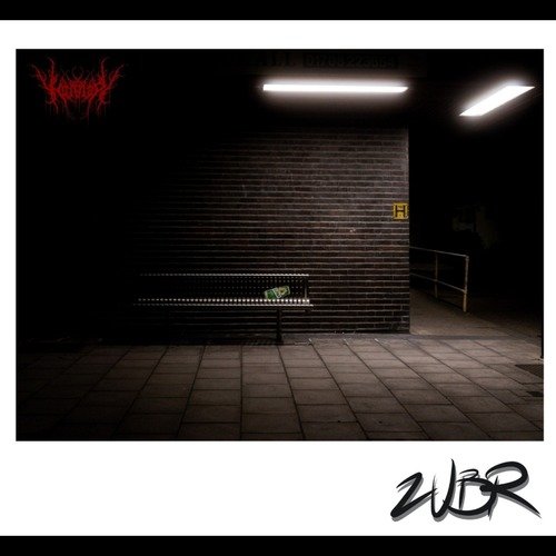 Zubr cover art