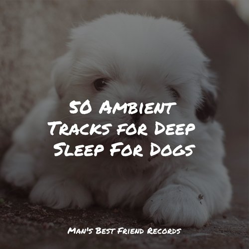 Meditating Music cover art
