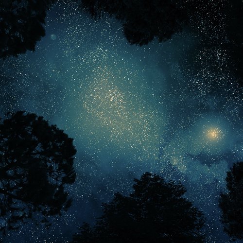 50 Meditation Relaxation Sounds