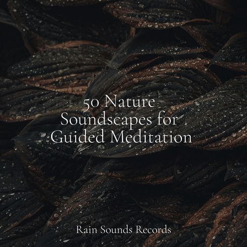 50 Nature Soundscapes for Guided Meditation_poster_image