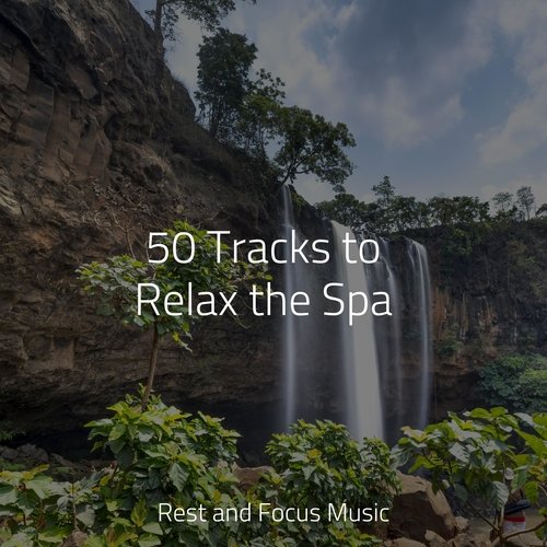 50 Tracks to Relax the Spa_poster_image