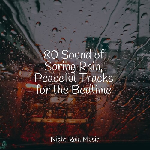 Rain, Storm and Thunder cover art