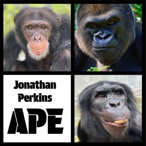 APE