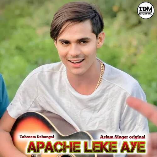 Apache Leke Aye