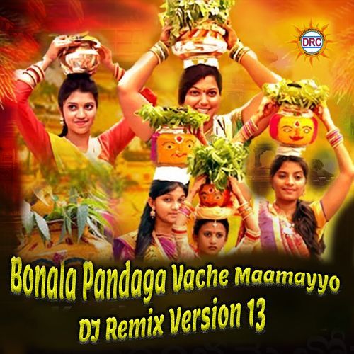 Bonala Pandaga Vache Maamayyo (DJ Remix Version 13)