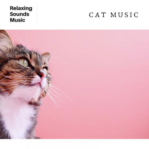Cat Music Therapy cover art