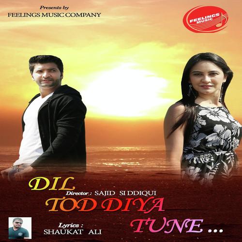 Dil Tod Diya Tune