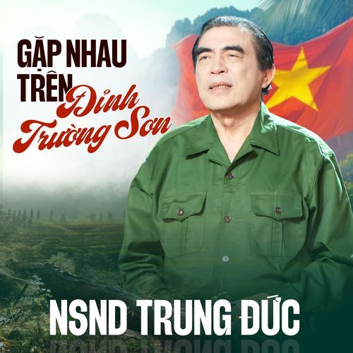 Gặp Nhau Trên Đỉnh Trường Sơn cover art