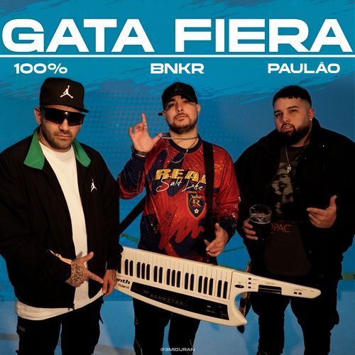 Gata Fiera (Remix)_poster_image