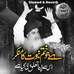 Hai Jo Khatam e Nabuwat Ka Munkir (Slowed &amp; Reverb)