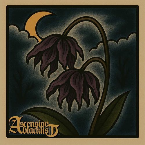 Midnight Orchid cover art