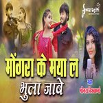 Mongra Ke Maya La Bhula Jabe (Cg Sad Song)