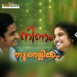 Nattu Nellikka (From "Ninam")