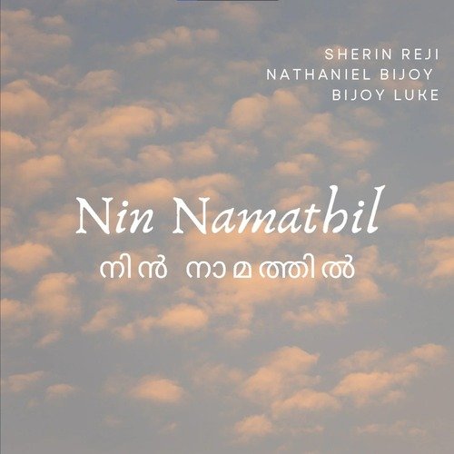 Nin Namathil