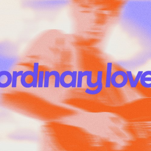 Ordinary Love_poster_image