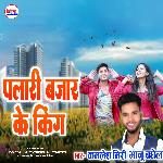 Palari Bajar Ke King