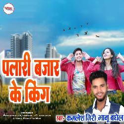 Palari Bajar Ke King