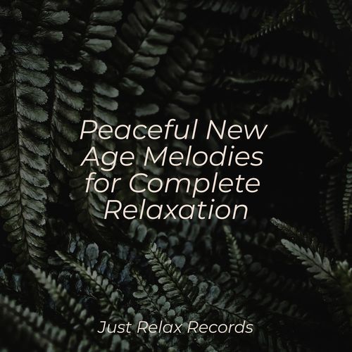 Peaceful New Age Melodies for Complete Relaxation