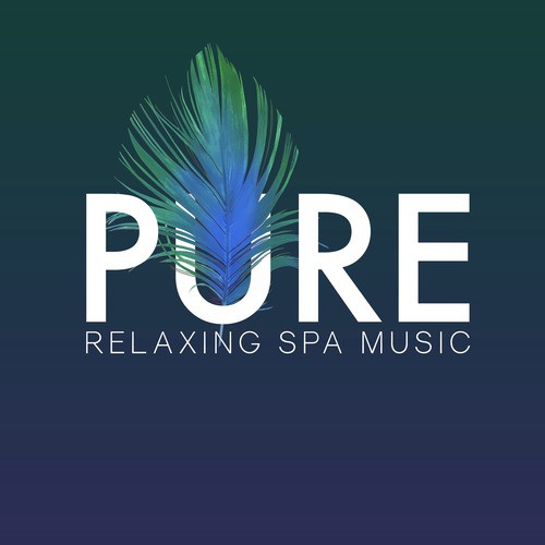 Pure Relaxing Spa Music_poster_image