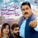 Pyar Kay Badlay Pyar