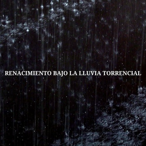 Lavado De Sonido cover art