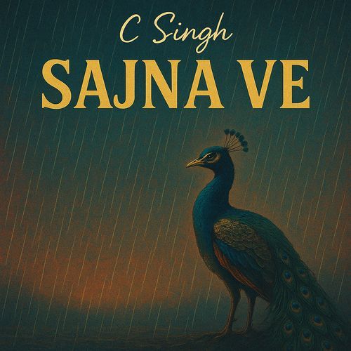 Sajna Ve