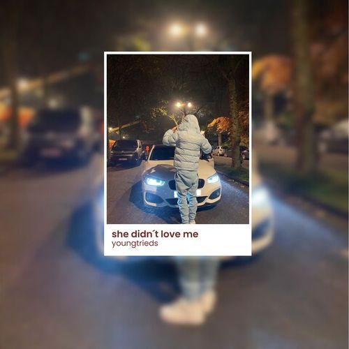 She didn´t love me cover art