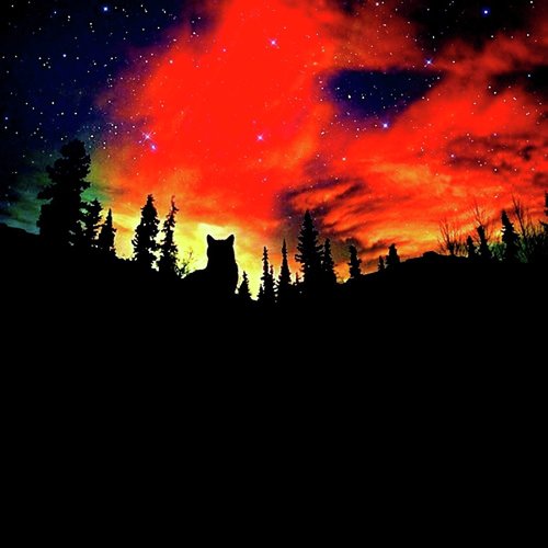 Torn Sails cover art