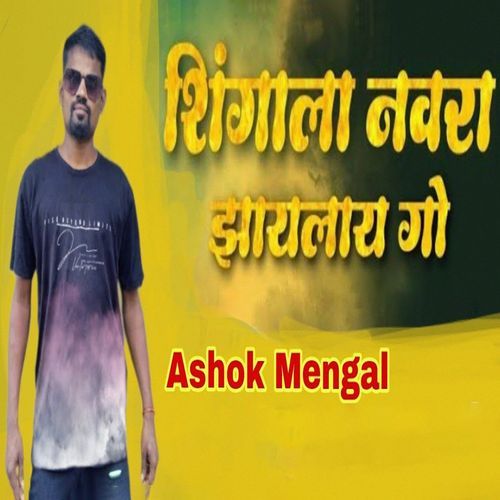 Singala Navra Zaylay Go