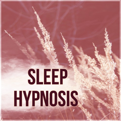 Sleep Hypnosis - Nature Sounds for Sleep Deprivation, Sleep Music, Natural Sleep Aids Sleeping Music