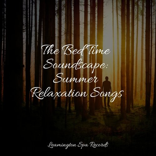 Meditating Music cover art