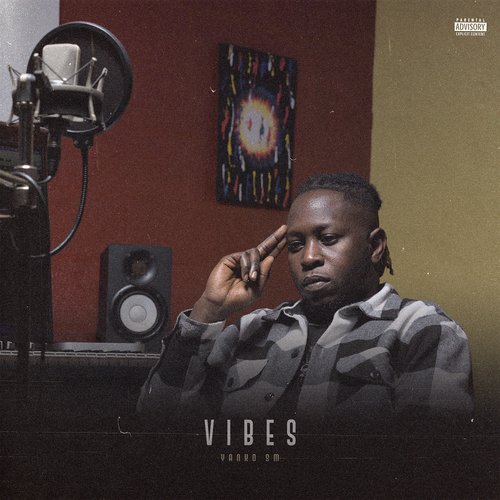 Vibes_poster_image