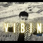 Vibin