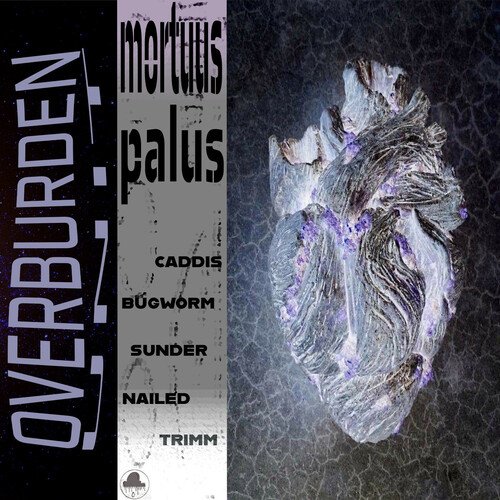 Caddis cover art