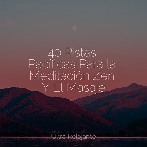 40 Pistas Pacíficas Para la Meditación Zen Y El Masaje