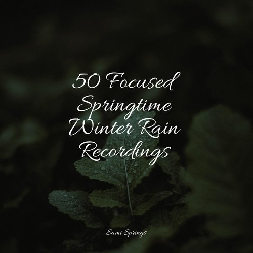 50 Focused Springtime Winter Rain Recordings_poster_image