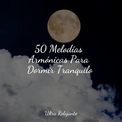 Boutique De Puestas De Sol cover art
