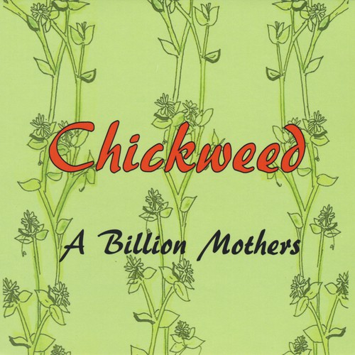 Chickweed
