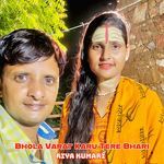 Bhola Varat Karu Tere Bhari