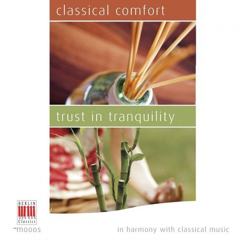 Classical Comfort - Trust in Tranquility (In Harmony with Classical Music)