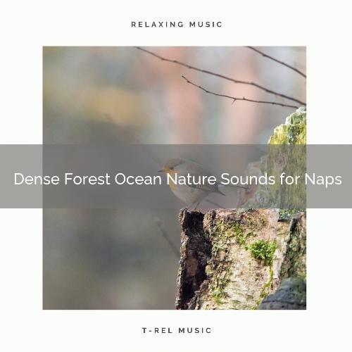 Dense Forest Ocean Nature Sounds for Naps_poster_image