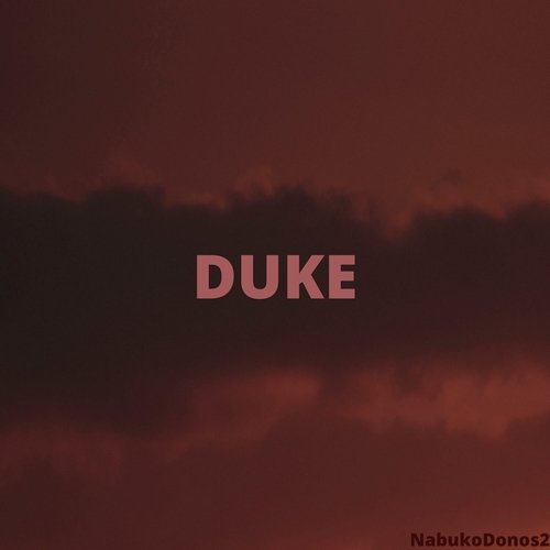 Duke cover art