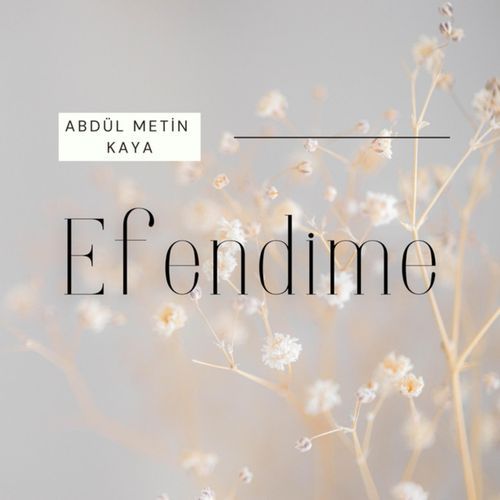 Efendime cover art